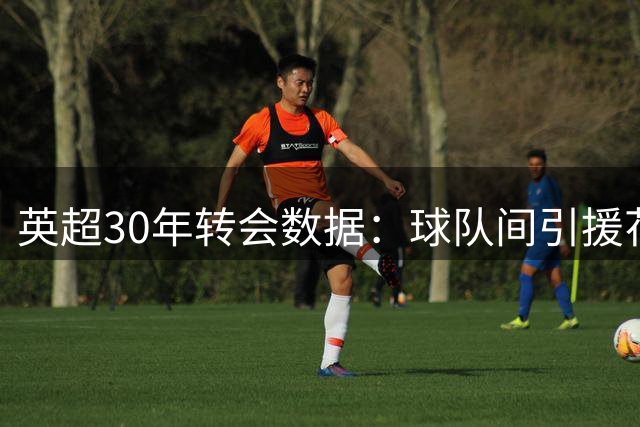 英超30年转会数据：球队间引援花费占比分析